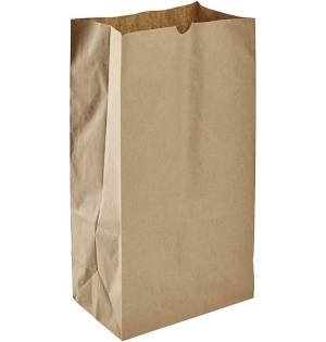 Kraft Paper Bag 12 LB - Image 2