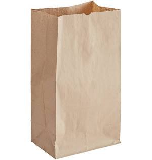 Kraft Paper Bag 20 LB - Image 2